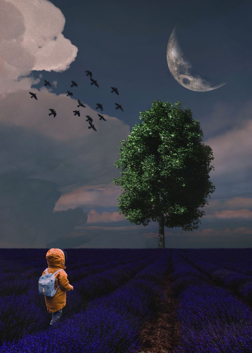 The Garden at the Edge of Night — a small child walks through a lavender field toward a lone tree beneath a crescent moon, The Outer Gardens biome